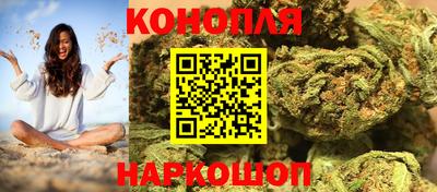 крисы Апшеронск