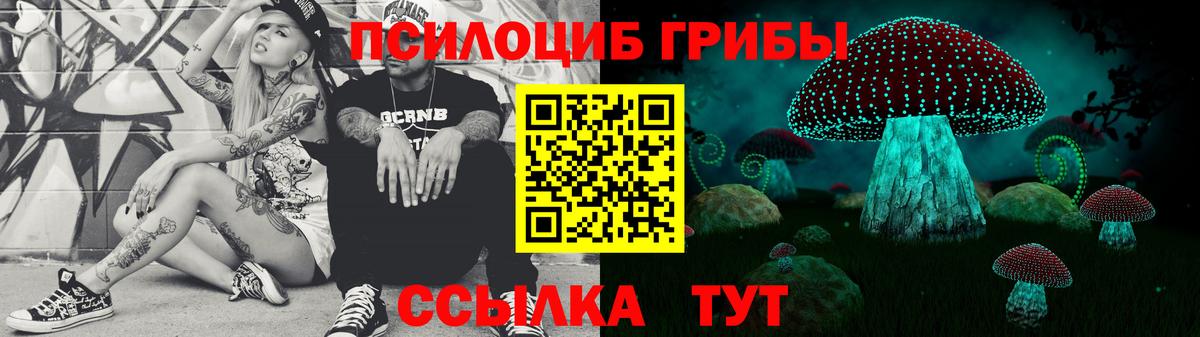 Галлюциногенные грибы Magic Shrooms  где купить наркоту  Вход с VPN  Выборг  Псилоцибиновые грибы Psilocybine cubensis 